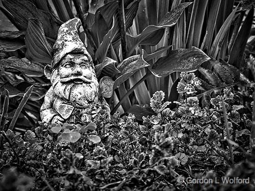 Garden Gnome_P1130445-7.jpg - Photographed at Smiths Falls, Ontario, Canada.